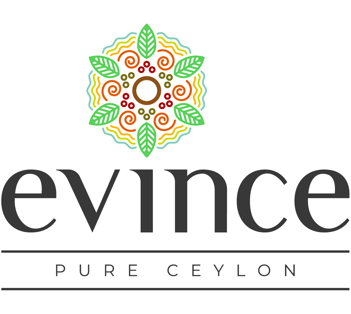 evince and co main logo